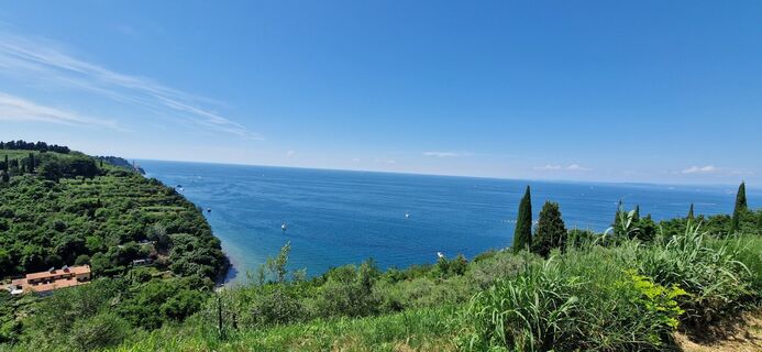 Fotografia z Utassy Tóth Johanna na trase