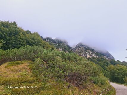 Fotografija s spletne strani Laura Gasparotto na poti