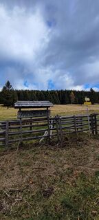 Fotografija s spletne strani Hakuna Matata na poti