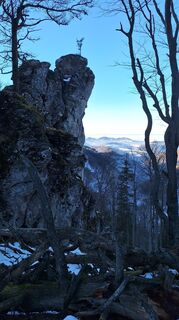 Fotografija s spletne strani Aga M na poti