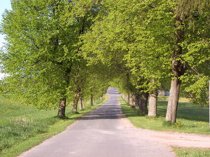 Alle zur Schutzkapelle Aremberg