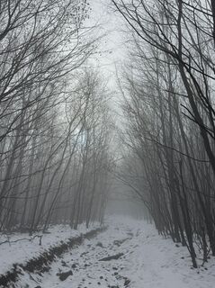 Fotografia z joeblack0306 na trase