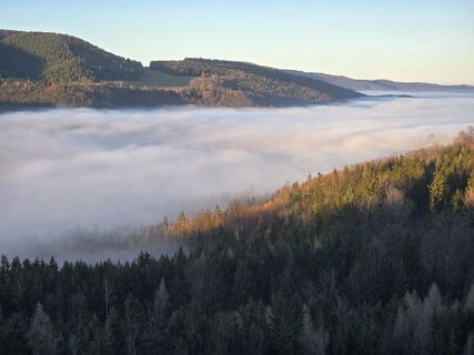 Fotografia z TwilightTea na trase