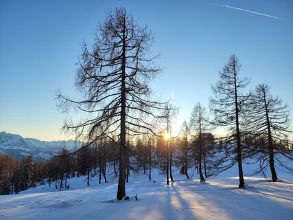 Fotografija s spletne strani Juliane Jarke na poti