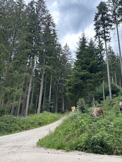 Photo de Heinz Sperl le long du parcours