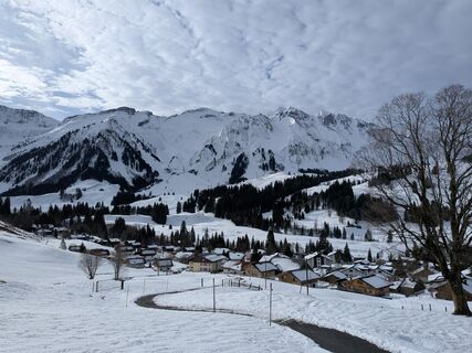 Zdjęcie z mtmc wzdłuż trasy