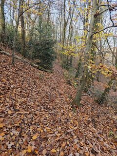 Fotografija s spletne strani Björn Heun na poti