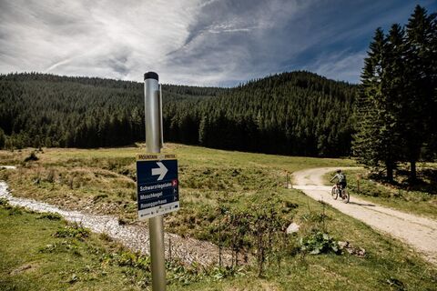 Die Tour kann auch auf erweitert werden zum Schwarzriegl-Moor und die Pretul.