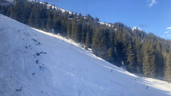 Photo de Thomas Friedmann le long du parcours