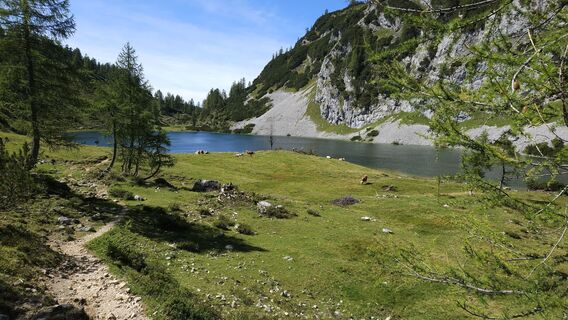 Foto från kriessda under resans gång