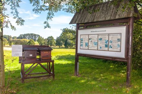 Schaubienenstand Rammenau