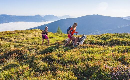 Wanderung zum Krahbergzinken