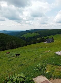 Fotografie z Andreas Sternol na trase