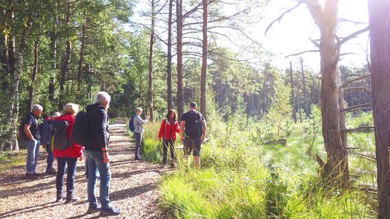 Gruppenwanderung auf dem NORDPFAD "Dör't Moor"