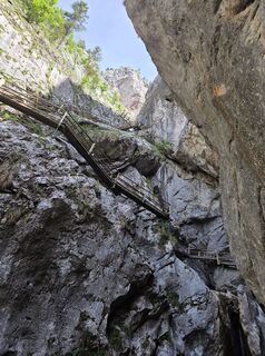 Fotografija s spletne strani Birgit Zückert na poti