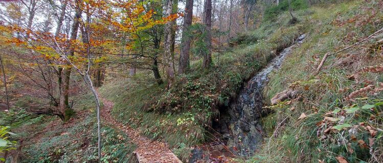 Photo de Hans Klamer le long du parcours
