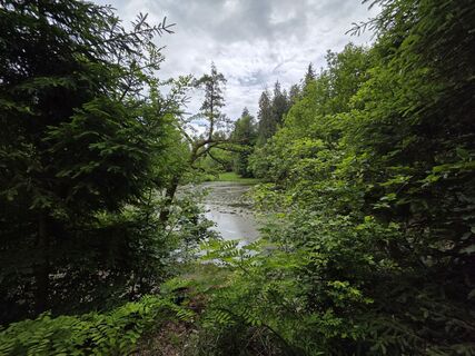 Foto von Wandertherapie entlang der Tour