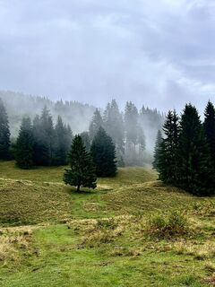 Foto von Kellner Heidi entlang der Tour