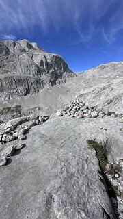 Photo de Mountain Cat ? ⛰️ le long du parcours