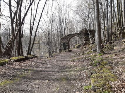 Foto von nordbergschnecke entlang der Tour
