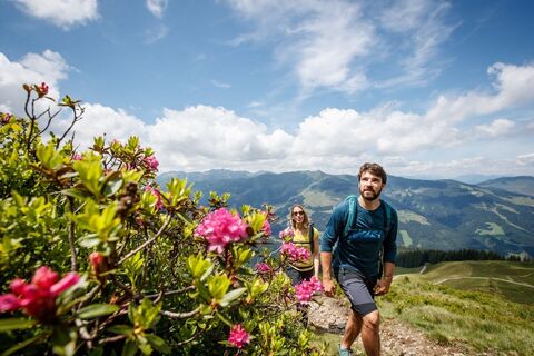 KAT-Walk2019@ErwinHaiden-5948 e2 fauna ausblick flora natur.jpg