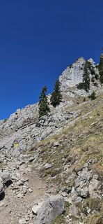 Foto de micsunel ciocirtau a lo largo del recorrido