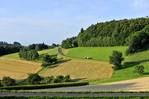 Felder- und Wiesenlandschaft bei Benking 