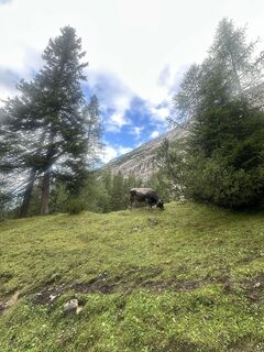 Foto von Torsten Federkeil entlang der Tour