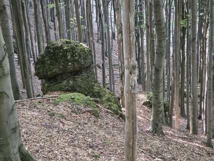 Photo de János Zsolt Mahr le long du parcours