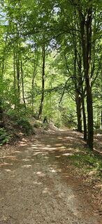 Foto van Andreas Henning langs de tour