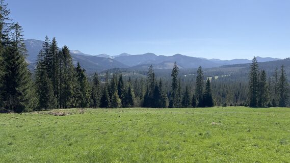 Fotografija s spletne strani Dávid Mayer 5 na poti