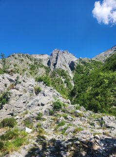Fotografija s spletne strani MassiNencio na poti