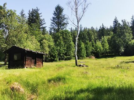 Foto von Waldläufer entlang der Tour