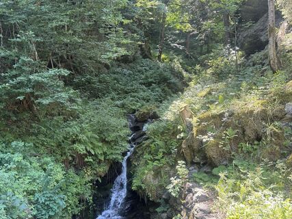 Foto von Lili10 entlang der Tour