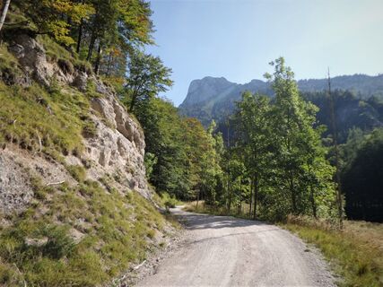 Kienbergweg (Eisenaualm) und Schafberg