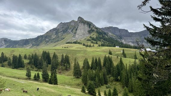Fotografija s spletne strani Monica Bagge na poti