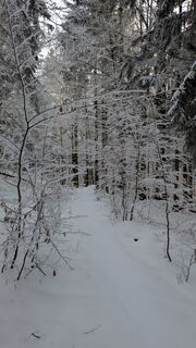 Fotografija s spletne strani TaNja85 na poti