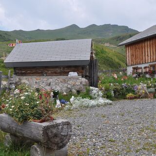 Alp Panüol