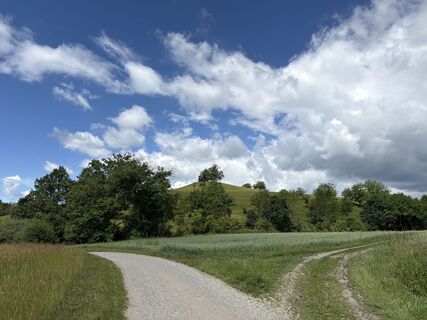 Fotografija s spletne strani Lars Klein na poti