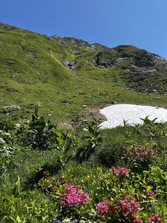 Foto von Norbert entlang der Tour