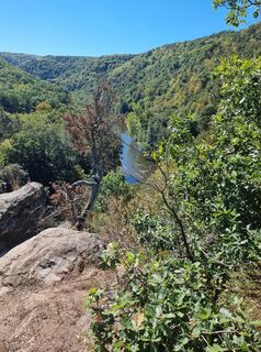 Fotografija s spletne strani Helmut Neuhold na poti