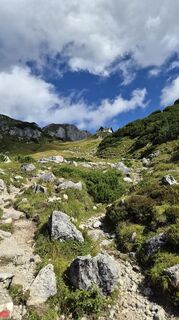Fotografija s spletne strani Thomas Reickersdorfer Reicki na poti