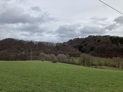 Wiesenlandschaft bei Eimelrod