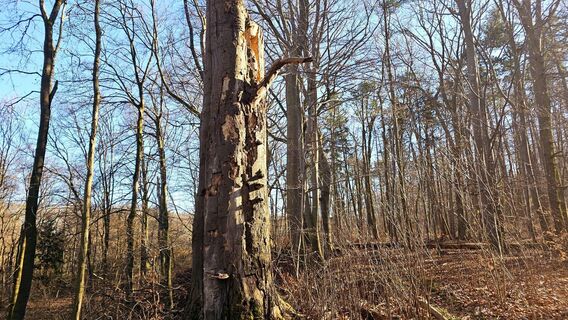 Photo de Eckhard Borchert le long du parcours