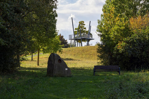 lohfelden_gruene_mitte_aussichtsplattform_tanzeiche_0720a(2)