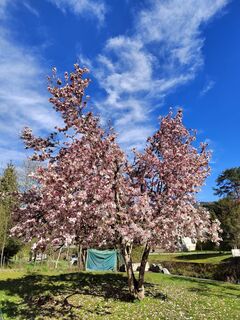 Foto von ReginaSt entlang der Tour