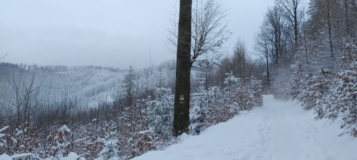 Fotografia z Sylwiasuchy76 na trase
