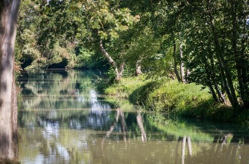 Bei Fürstenfeld Aulandschaft genießen