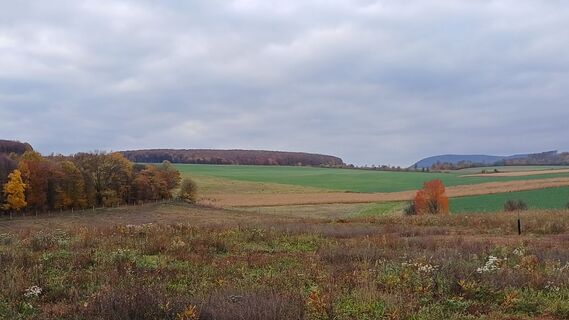 Fotografija s spletne strani Sóvári Bernadett na poti