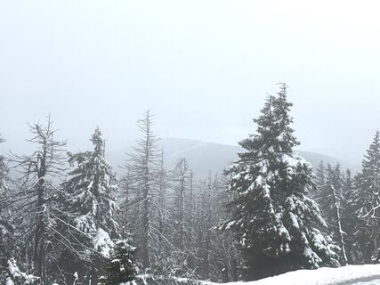 Photo de Norbert Herbig le long du parcours
